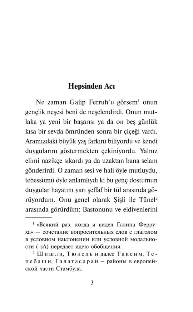 Zerrissene Leben. Die bekanntesten türkischen Erzählungen des 20. Jahrhunderts. Niveau 1
