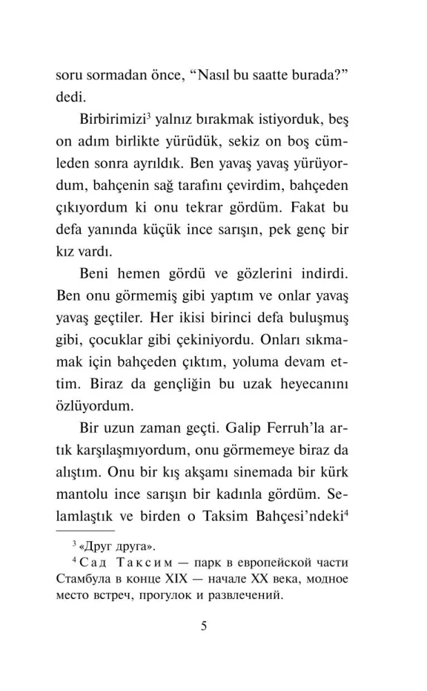 Zerrissene Leben. Die bekanntesten türkischen Erzählungen des 20. Jahrhunderts. Niveau 1