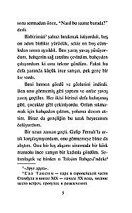 Zerrissene Leben. Die bekanntesten türkischen Erzählungen des 20. Jahrhunderts. Niveau 1