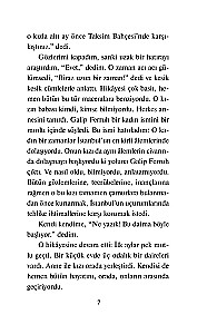Zerrissene Leben. Die bekanntesten türkischen Erzählungen des 20. Jahrhunderts. Niveau 1