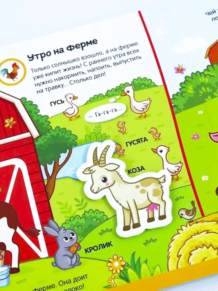 Līpītes. Kas dzīvo fermā?