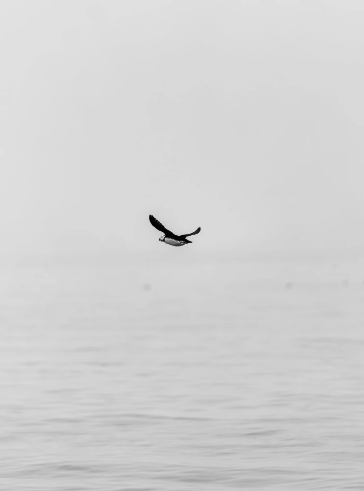 Такая разная страна. Авторский фотопроект Александра Мазурова о России