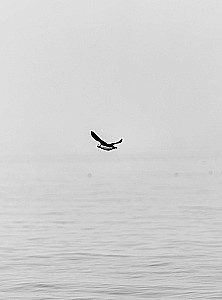 Такая разная страна. Авторский фотопроект Александра Мазурова о России
