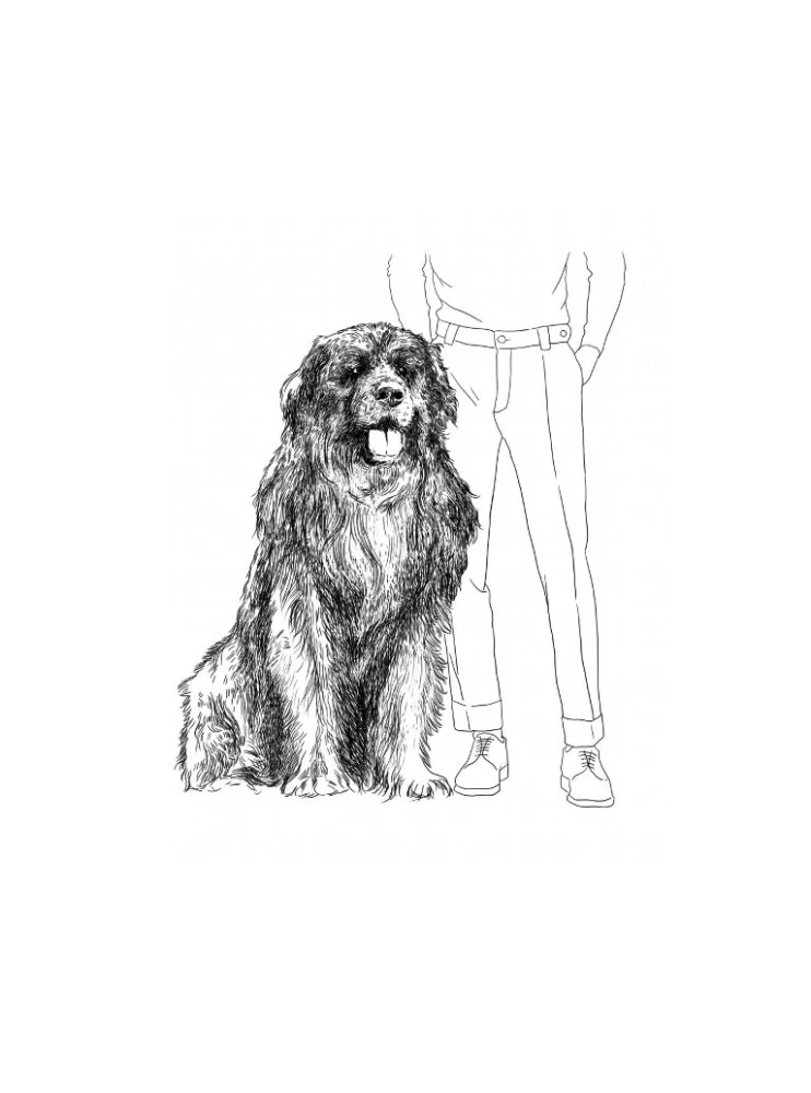 ...und dass ein Hund neben mir geht. Geschichten über Freundschaft, Treue und Liebe — Foto 16
