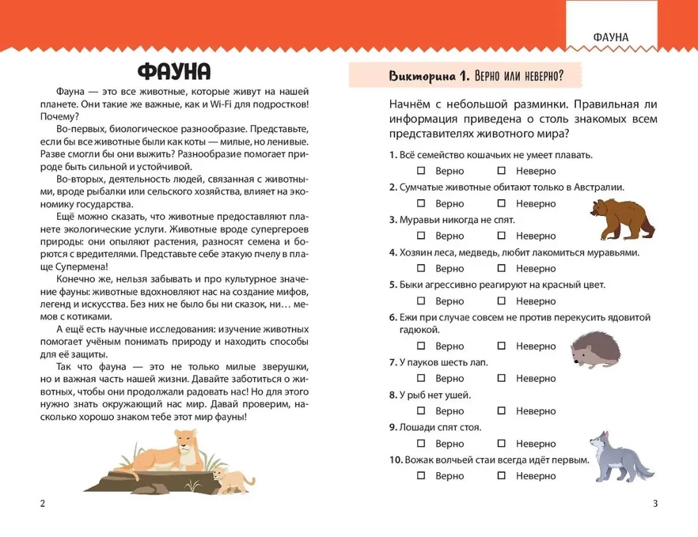 My Earth. A Book of Exciting Tests About Our Amazing Planet