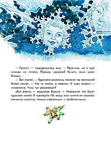 The Journey of the Smallest Snowflake