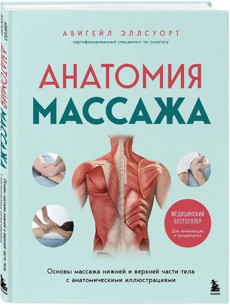 Anatomia masażu. Podstawy masażu dolnej i górnej części ciała z ilustracjami anatomicznymi