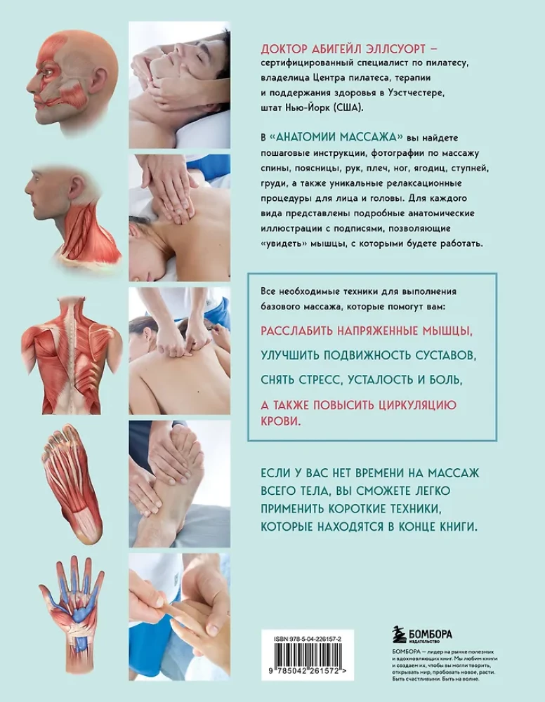 Anatomia masażu. Podstawy masażu dolnej i górnej części ciała z ilustracjami anatomicznymi
