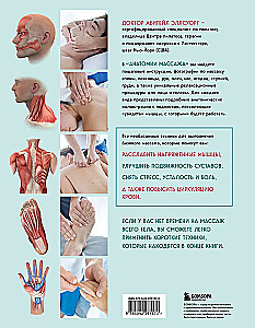 Anatomia masażu. Podstawy masażu dolnej i górnej części ciała z ilustracjami anatomicznymi