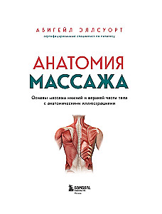 Anatomia masażu. Podstawy masażu dolnej i górnej części ciała z ilustracjami anatomicznymi