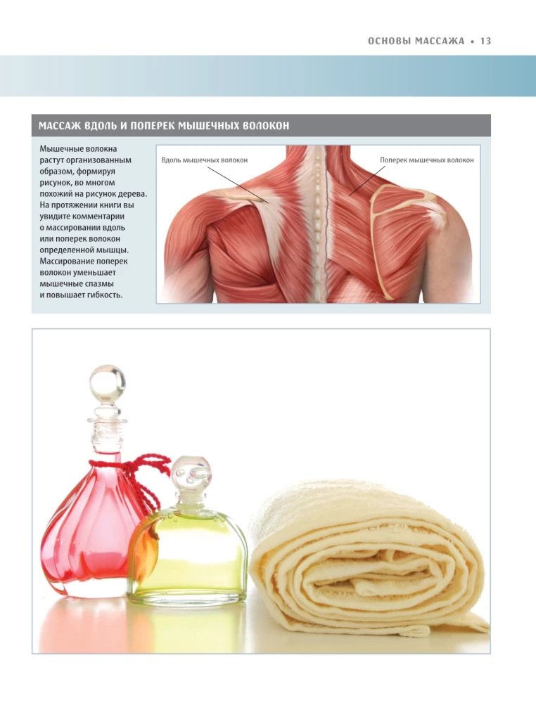 Anatomia masażu. Podstawy masażu dolnej i górnej części ciała z ilustracjami anatomicznymi