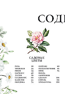 Blumen in der Kunst. Lob der Schönheit