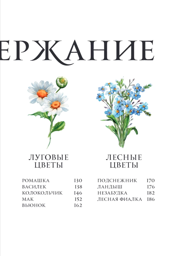 Blumen in der Kunst. Lob der Schönheit