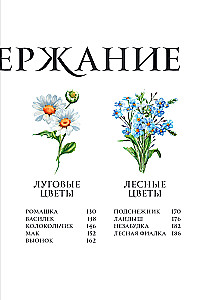 Blumen in der Kunst. Lob der Schönheit