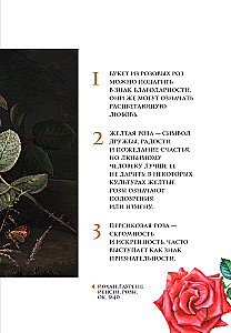 Blumen in der Kunst. Lob der Schönheit