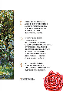 Blumen in der Kunst. Lob der Schönheit