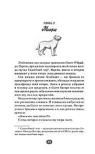 Sarkanais līnija