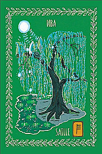 Magical Druid Cards. Green Magic for Protection and Predictions. Aven Deck