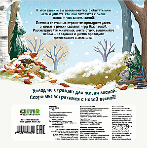 Winter in the Forest
