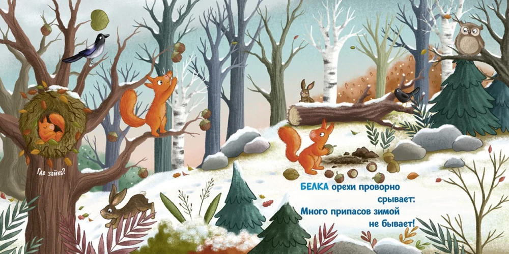 Winter in the Forest