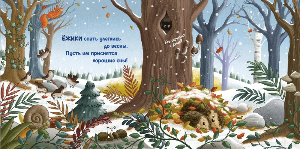 Winter in the Forest