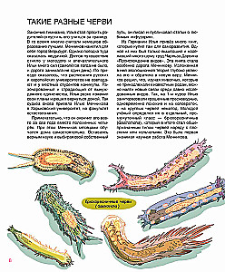 Biologo Mechnikovo pasaulis: Kaip mikroskopu pamatyti visą pasaulį