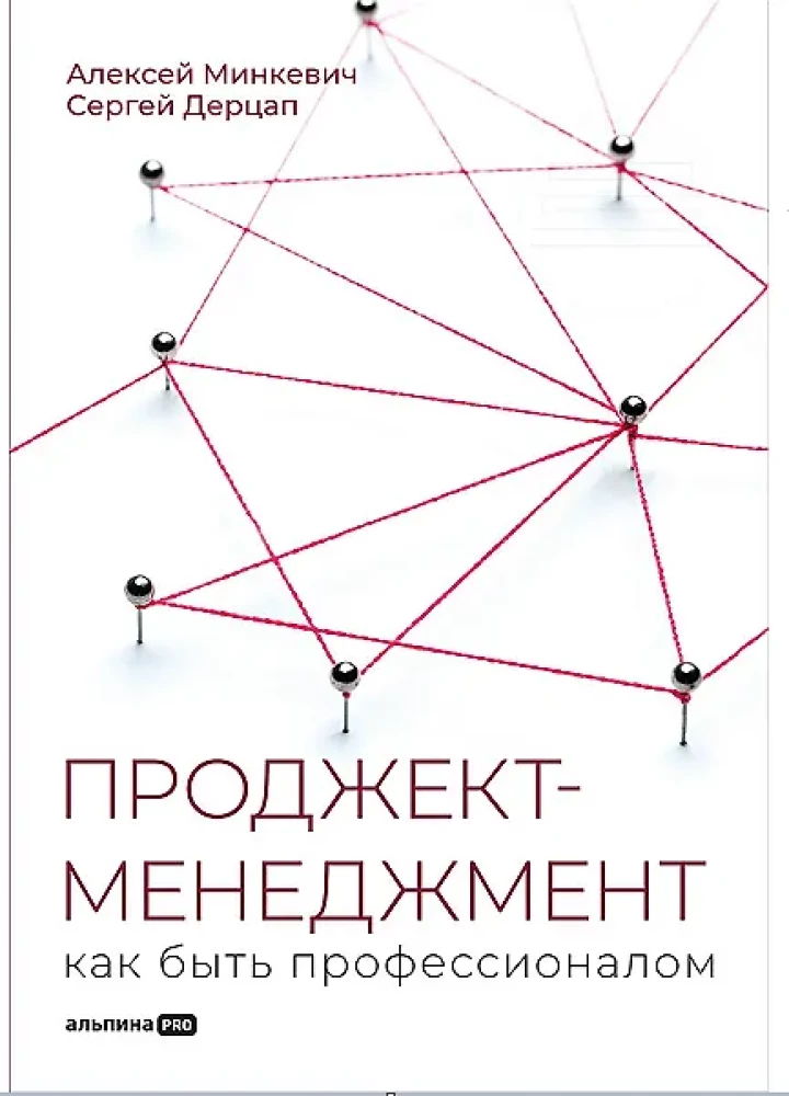 Проджект-менеджмент. Как быть профессионалом