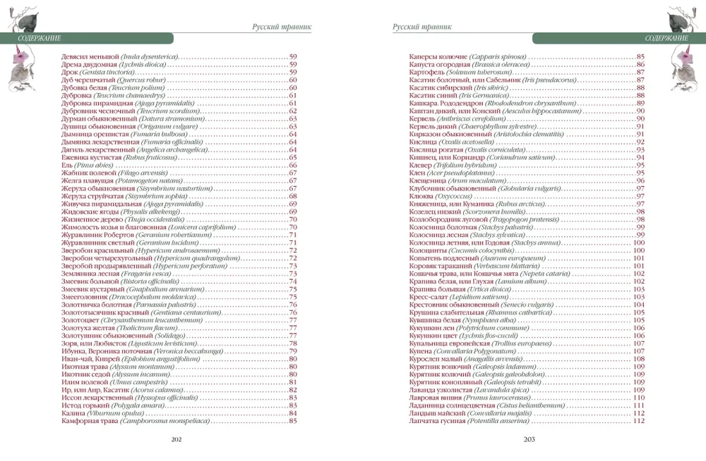 Russischer Kräuterkunde