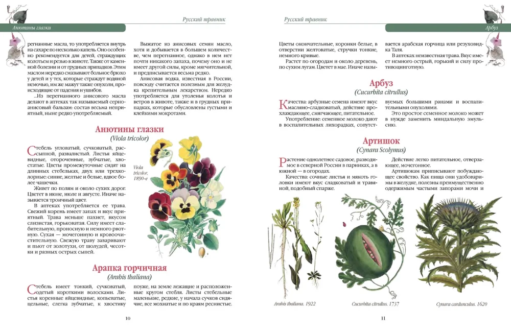 Russischer Kräuterkunde