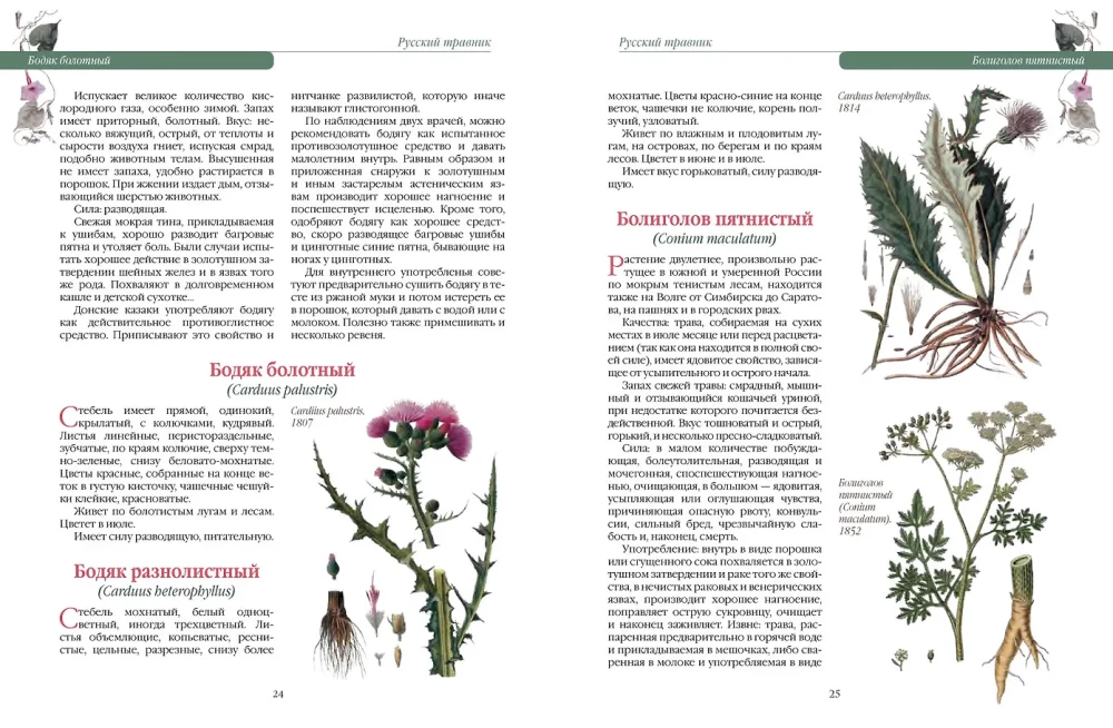 Russischer Kräuterkunde