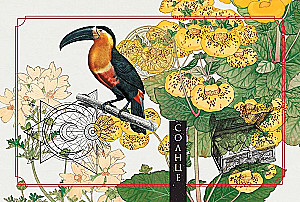 Зеленая лесная Магия. Witch Oracle Cards (50 карт)