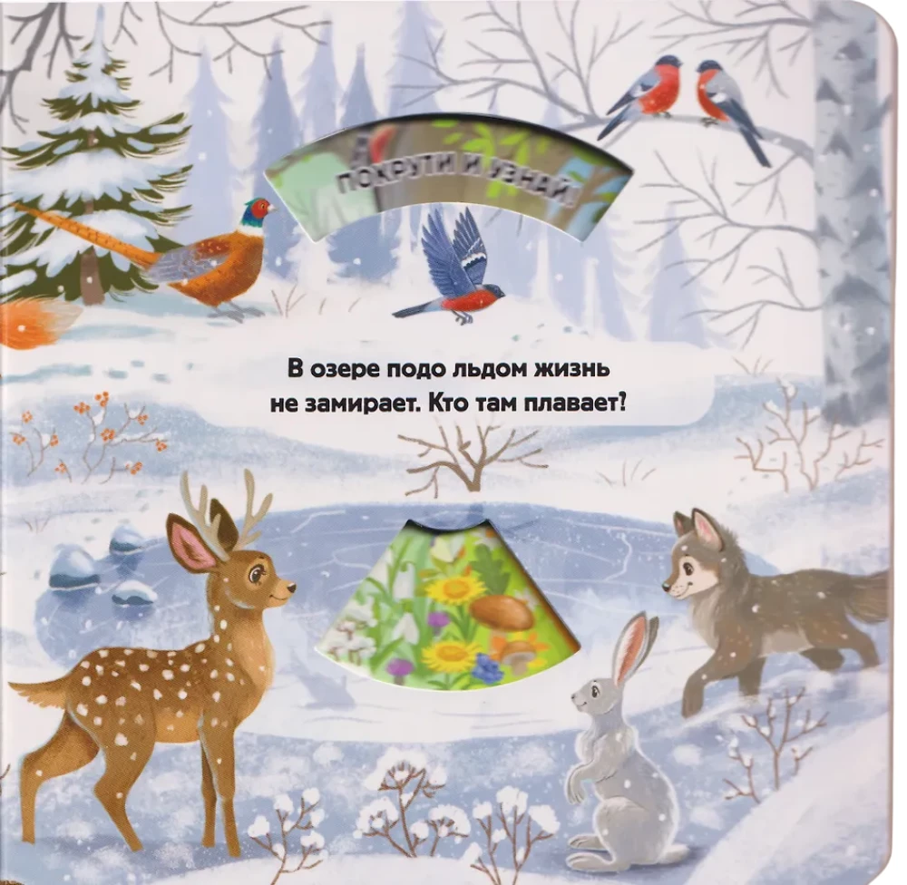 Seasons