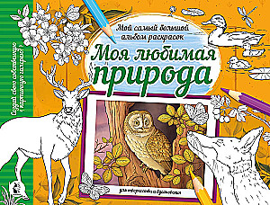 Mano mėgstama gamta