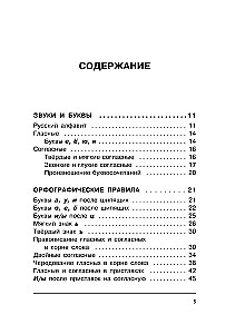 Russian Language. All Rules in Diagrams and Tables