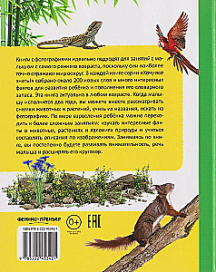 My Big Book About Nature