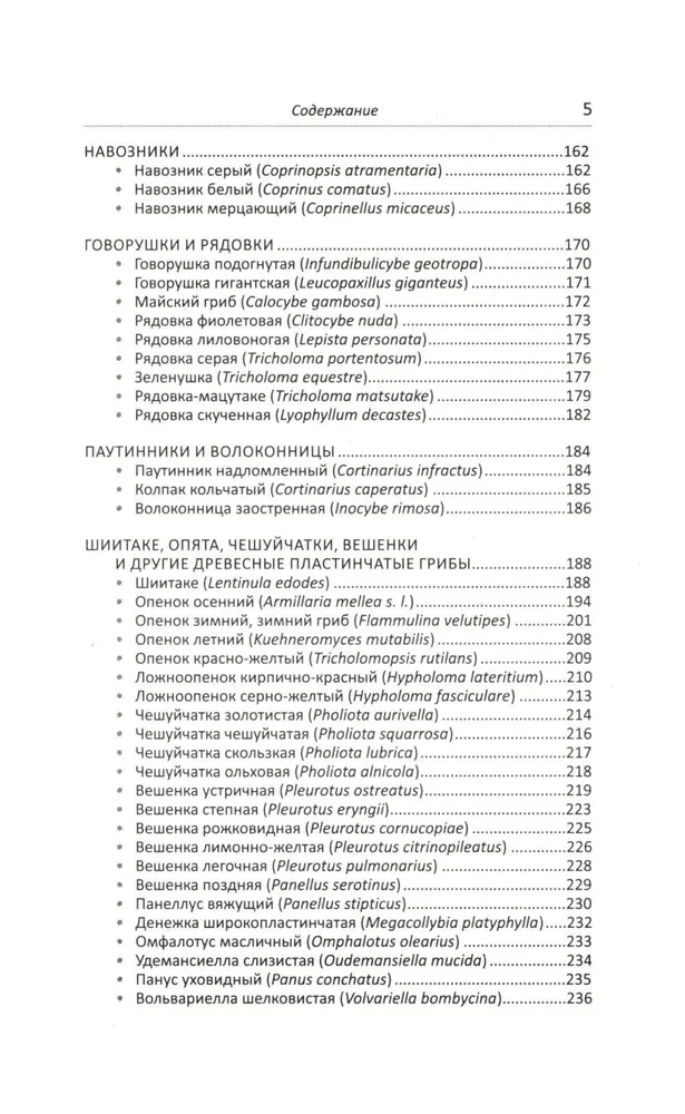 Medizinische Pilze Russlands