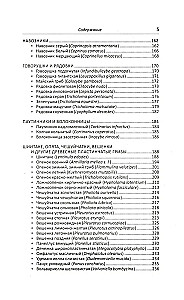 Medizinische Pilze Russlands
