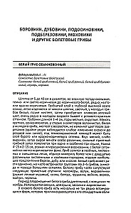 Medizinische Pilze Russlands