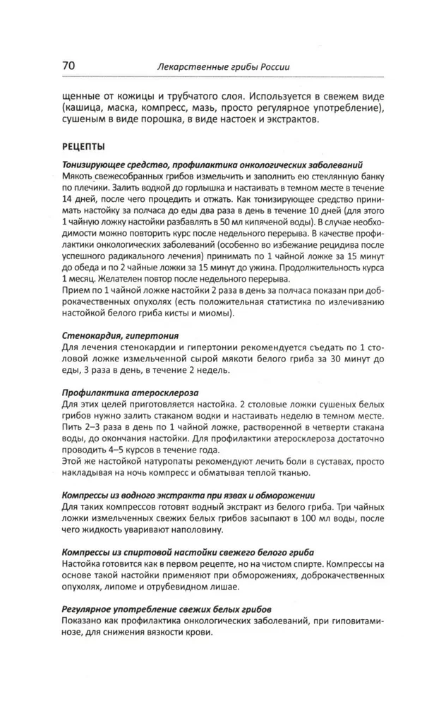 Medizinische Pilze Russlands