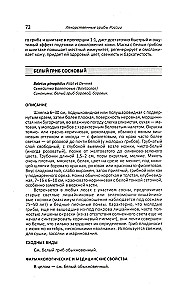 Medizinische Pilze Russlands