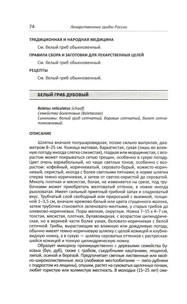 Medizinische Pilze Russlands