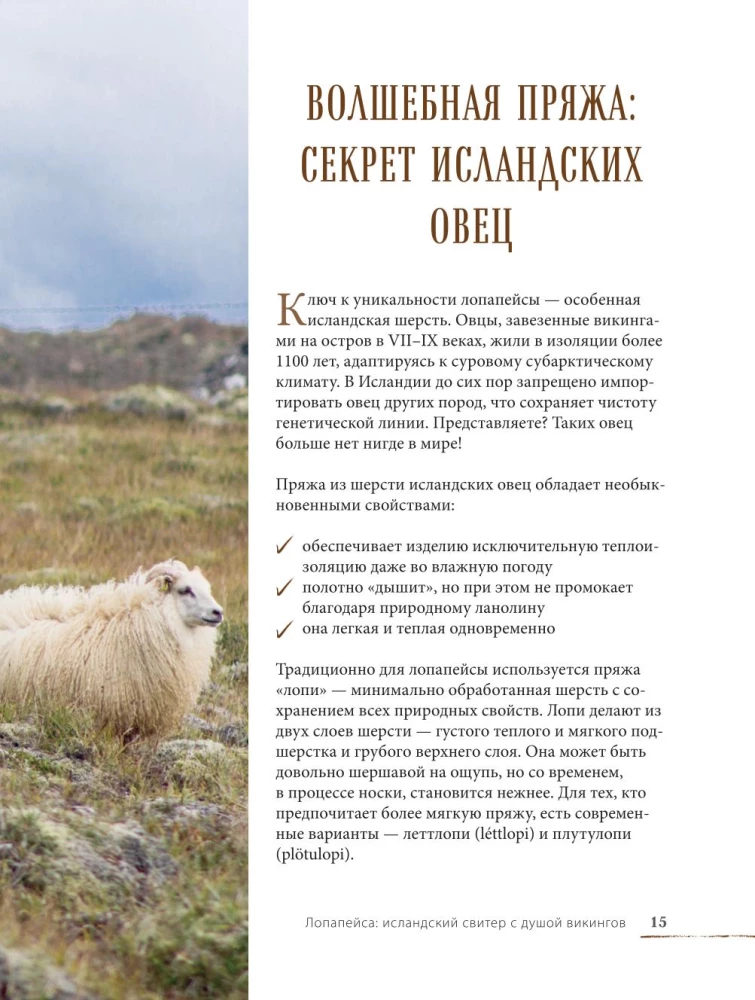 LOPAPEYSA from A to Z. Complete step-by-step guide to knitting a real Icelandic sweater