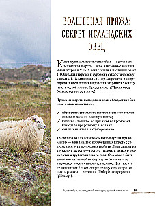 LOPAPEYSA from A to Z. Complete step-by-step guide to knitting a real Icelandic sweater