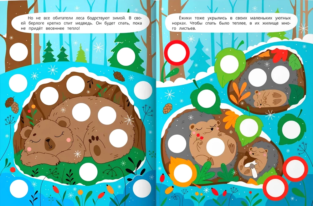 Im Winterwald. Buch mit Aufklebern
