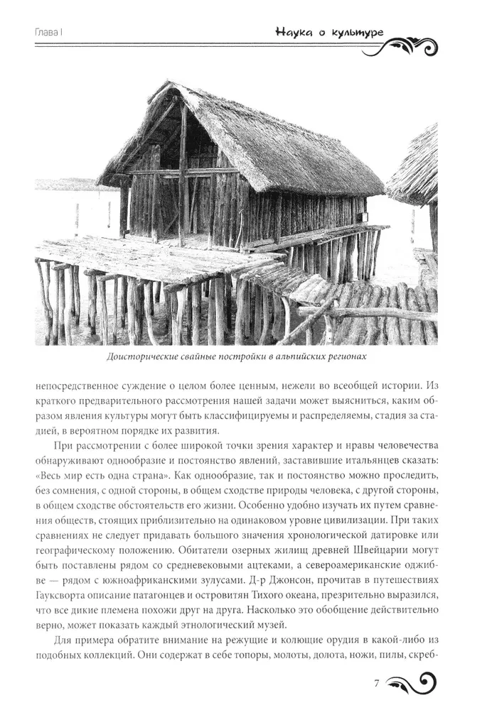 Primitive Culture