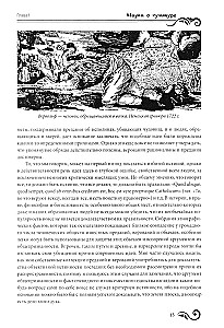 Primitive Culture