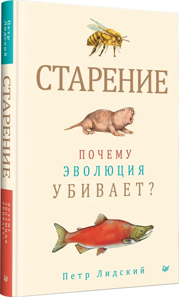 Aging: Why Evolution Kills?
