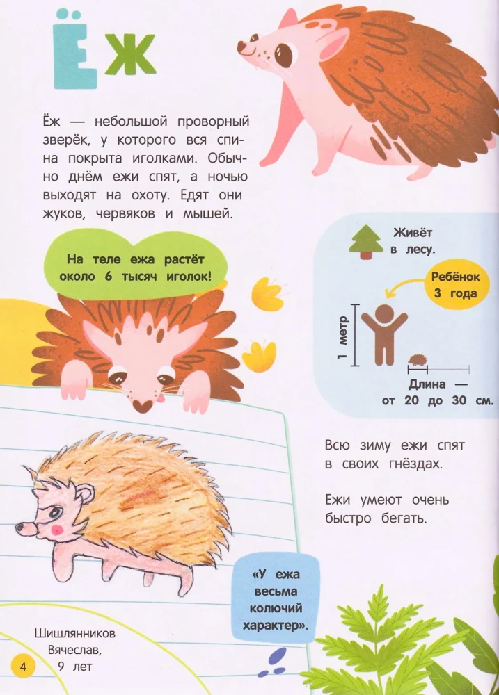 Świat zwierząt: zagadki natury oczami dzieci