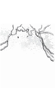 Fog
