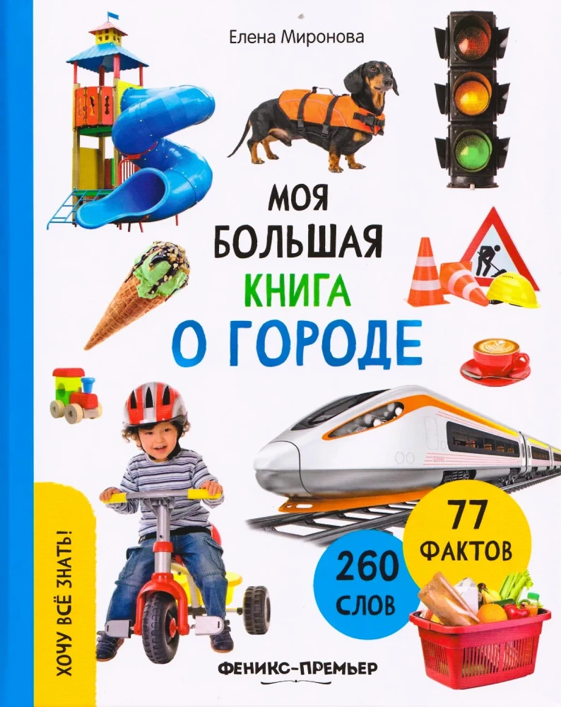 Minu suur raamat linnast